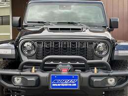 ファイナルエディション専用のトリプルループグリルガードが装備されております。