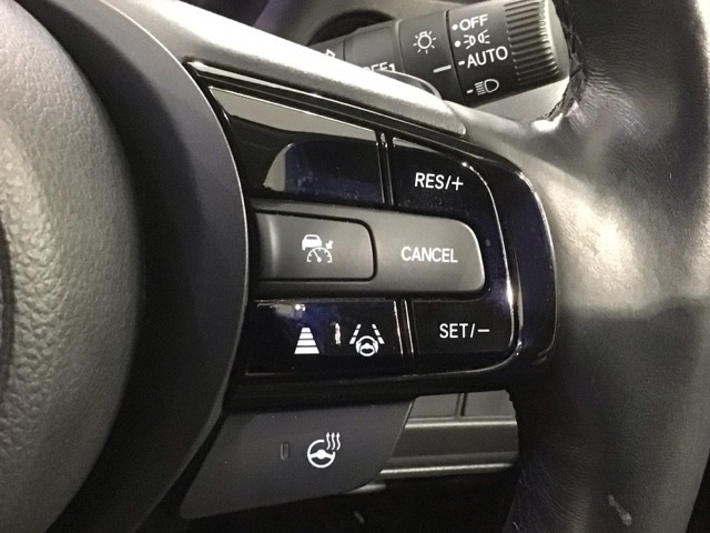 クルーズコントロールを装備しています。高速道路などで一定の速度で走ってくれるので運転が楽ですよ！速度を設定できますので、スピードの出しすぎにも注意できます。