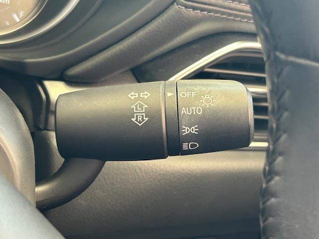 充実のカフェも併設しておりますので、楽しくお車をお探しいただけます！