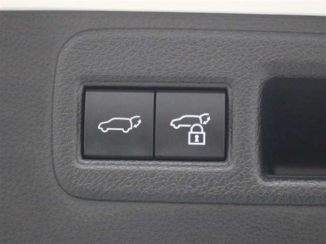 バックドアに設置されたパワーバックドアスイッチです。