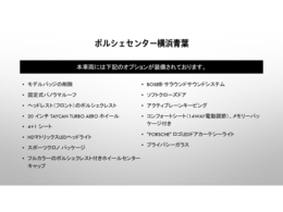当車両のオプション一覧で御座います。