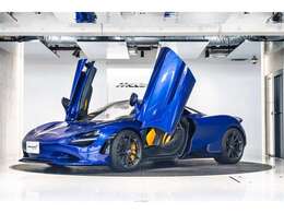 ボディカラーは【Tanzanite Blue】でございます。派手過ぎず、スーパーカーのフォルムを引き立てる美しさを持ったカラーでございます。
