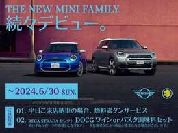☆★☆THE NEW MINI FAMILY☆★☆
