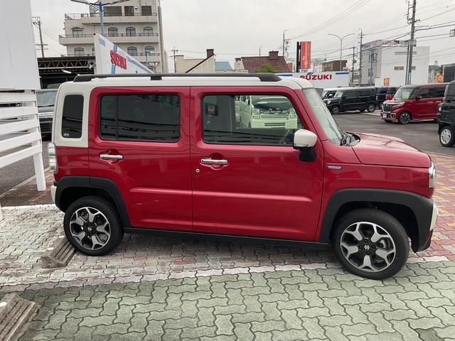 右側面です