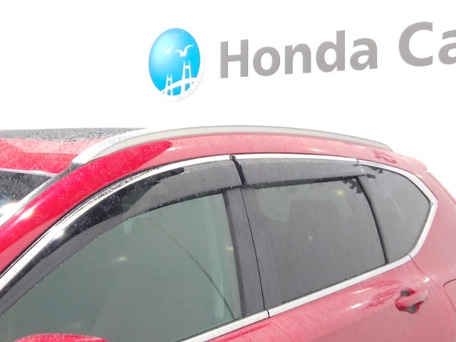 車内の空気の入れ替えだけでなく、雨天時の雨の入り込みや紫外線防止にも役立つドアバイザー装着済みです。