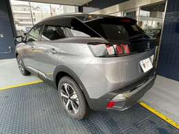 限定モデルです