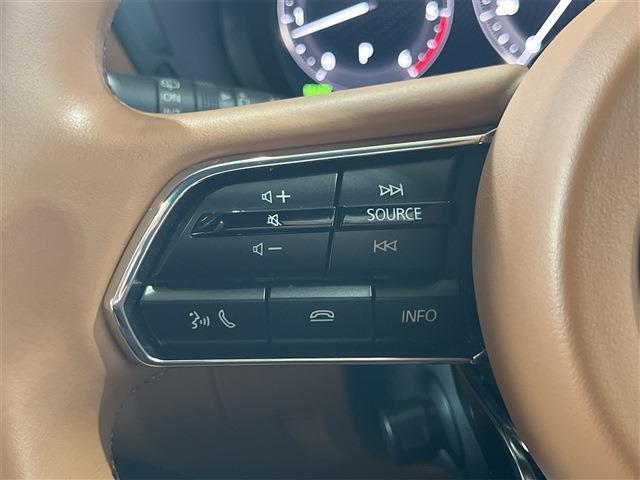 パドルシフト・ワイヤレス充電・AC100V電源・本革巻ステアリング・ウィンカードアミラー・電動格納ドアミラー・プッシュスタート・スマートキー・純正20インチアルミホイール・前後ドライブレコーダー　　　　　　→