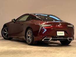 お車を左後ろから見るとこのような感じになります。テールランプやドアバイザー等装備品を確認できます。