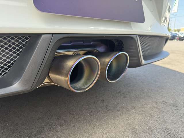 520ps/8250rpm　47.9kgm/6000rpm　PCCB（ポルシェ・セラミック・コンポジット・ブレーキ）　フロントアクスルリフト　リヤアクスルステアリング　クラブスポーツパッケージ非装備　カーボンセンターコンソール