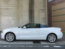 オープン時のスタイルです