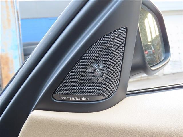 LCIモデル/8Cエンジン/ベージュ革/Harman/Kardon/ACC/BSM/LKA/LEDヘッド/NEWiDriveナビ/Bカメラ/BTオーディオ/DVD/MSV/ETC/ヒーター付Pシート/