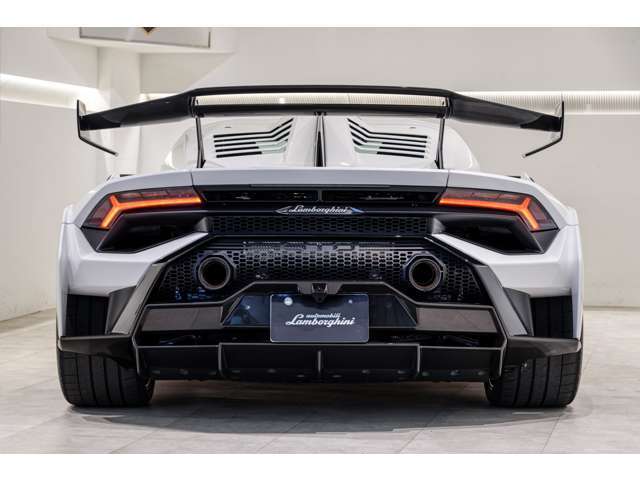 ボディーカラー:Bianco Monocerus　■Full Exterior Carbon Pack - Shiny Carbon