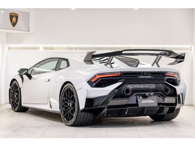 ボディーカラー:Bianco Monocerus　■Full Exterior Carbon Pack - Shiny Carbon