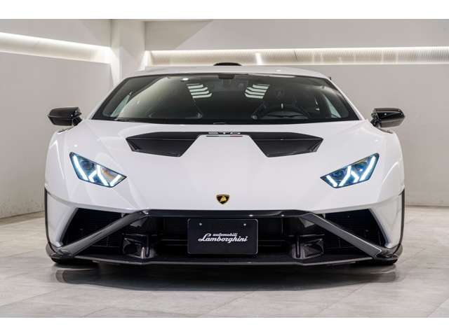 Lifting system　■Full Exterior Carbon Pack - Shiny Carbon