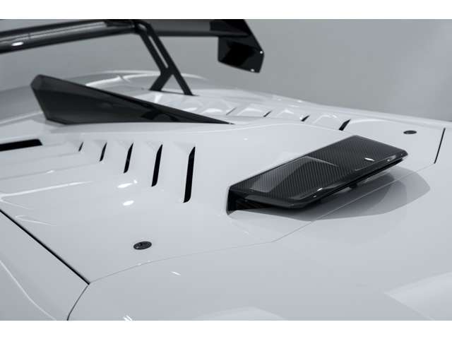 ボディーカラー:Bianco Monocerus　■Full Exterior Carbon Pack - Shiny Carbon