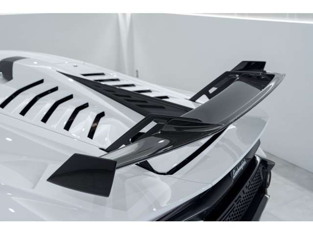 ボディーカラー:Bianco Monocerus　■Full Exterior Carbon Pack - Shiny Carbon
