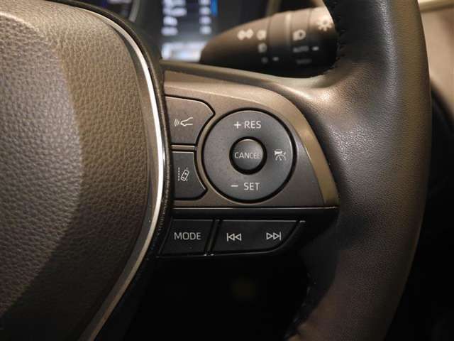 レーダークルーズコントロール/車間距離切替/レーントレーシングアシスト