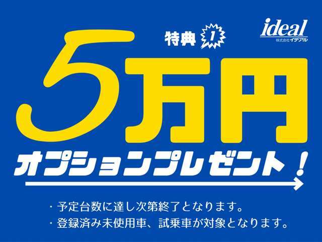 期間限定キャンペーン！早い者勝ちの純正オプション5万円分プレゼントキャンペーン実施中！