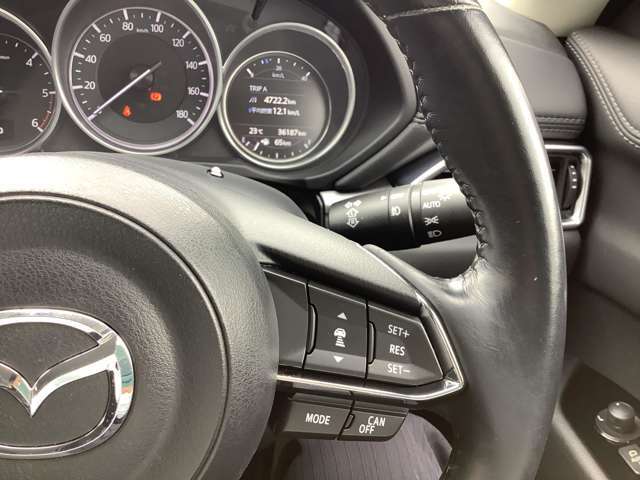 レーダークルーズ・オートライト！