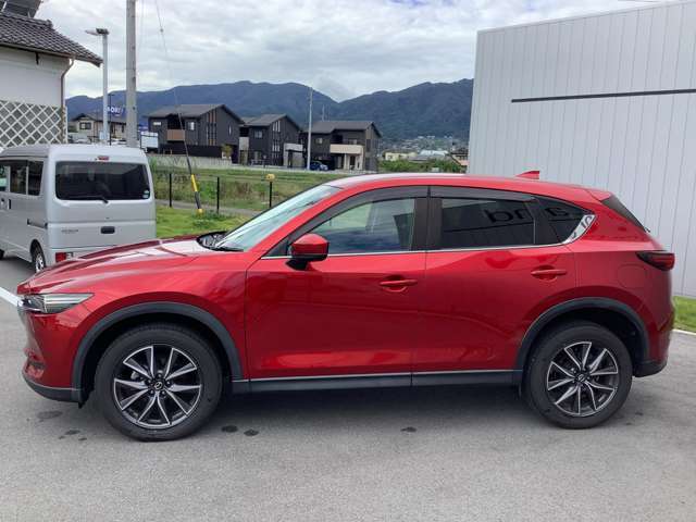 ドアバイザー装着！