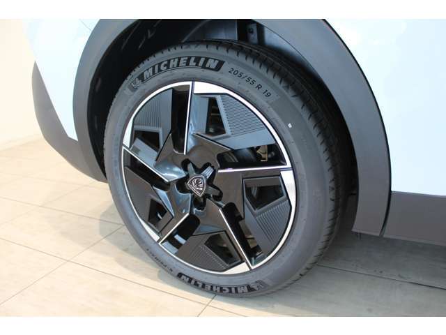 225/55R19