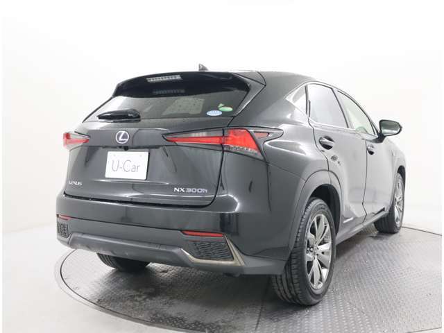 車庫入れなどの運転時に障害物の接近をモニターに表示とブザーで知らせるクリアランスソナー