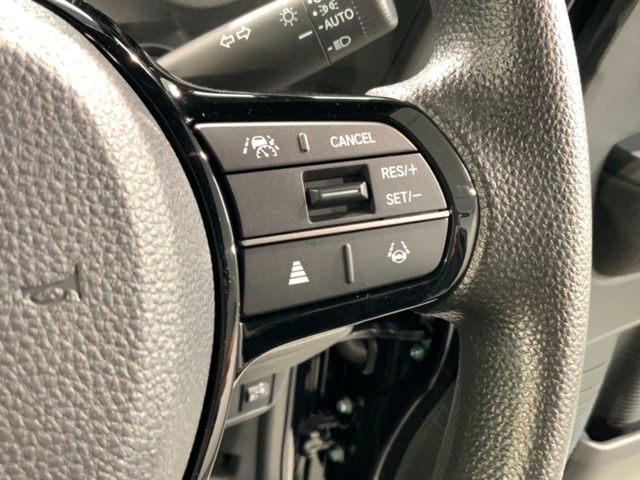 クルーズコントロールを装備しています。高速道路などで一定の速度で走ってくれるので運転が楽ですよ！速度を設定できますので、スピードの出しすぎにも注意できます。