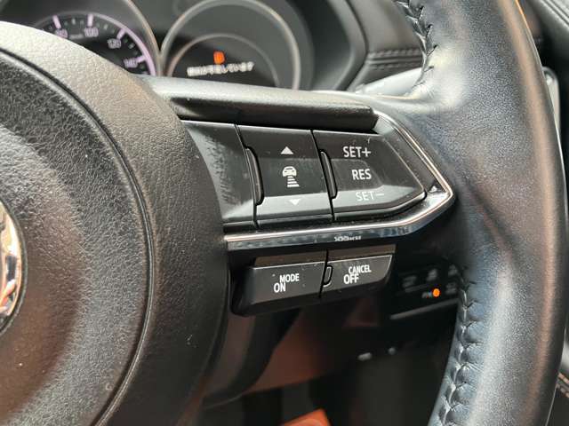 ★クルーズコントロール★一定のスピードを自動で保ってくれる機能です！高速道路でのロングドライブなどでアクセルをずっと踏まなくても良いので疲労が大きく違ってきます。遠出をされる方にお勧めの装備です！！