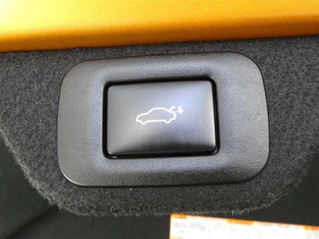 【電動バックドア】電動バックドア装備！ドアノブ・リモコンキー・車内スイッチで、ドアの開閉操作が出来ます♪