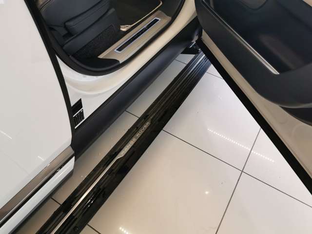 【電動格納式サイドステップ】ドアを広く開けられない、そんなところでこのサイドステップが輝きます。少しドアを開けてそっと降りる、そんな時にやさしくサポートしてくれます。