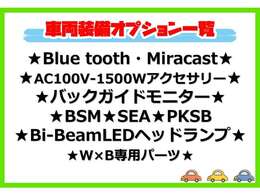 車両装備オプション一覧になります。