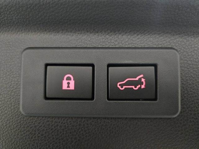 【電動リアゲート】ボタンひとつで大きなゲートも簡単に開閉可能です。