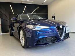 とてもシック。また、他と被るのお嫌いな方にもおすすめ！