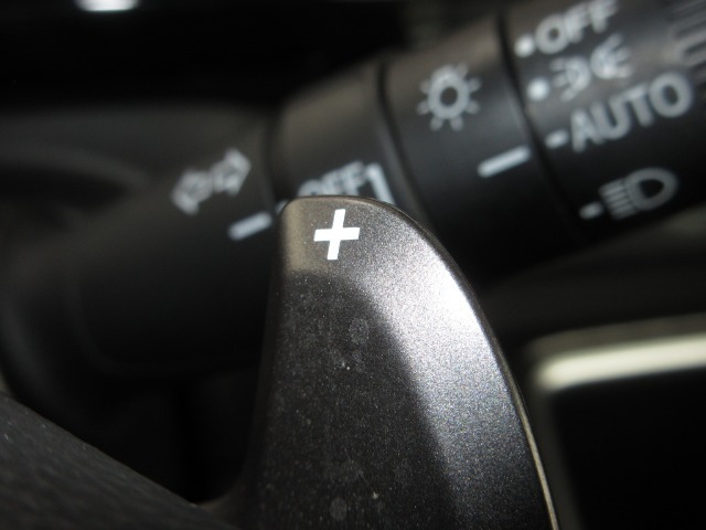 マニュアル車のような感覚で、ワインディングロードでも車を操れるパドルシフト付きです。長い下り坂でのエンジンブレーキや、高速道路の合流の際の加速も思いのままです。