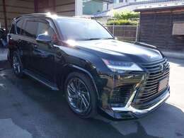 サイドバイザーブラックステンレス