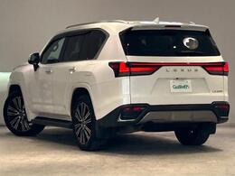 お車を左後ろから見るとこのような感じになります。テールランプやドアバイザー等装備品を確認できます。