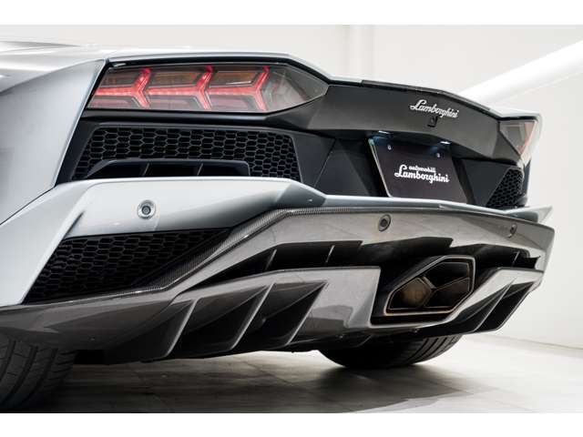 Rear bumper black matt + carbon shiny　V12の迫力のあるサウンドをお楽しみいただけます