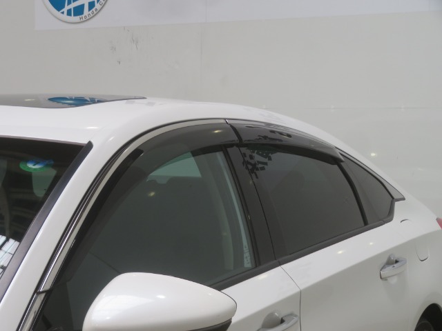 車内の空気の入れ替えだけでなく、雨天時の雨の入り込みや紫外線防止にも役立つドアバイザー装着済みです。