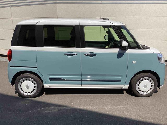 横からの写真です