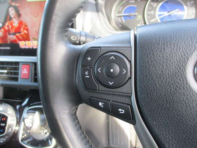 ステアリングスイッチにて細かな車両表示設定もカスタマイズ出来ます。