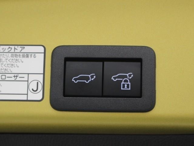 バックドアに設置されたパワーバックドアスイッチです。
