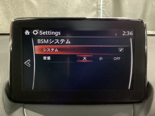 TCS（トラクションコントロールシステム）＆DSC（横滑り防止機構）やBSM（隣車線上の側・後方からの車両接近を通知）、LDWS（車線逸脱警報システム）で安全運転をサポート！