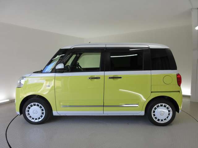 オート格納式カラードドアミラー＆純正バイザー付