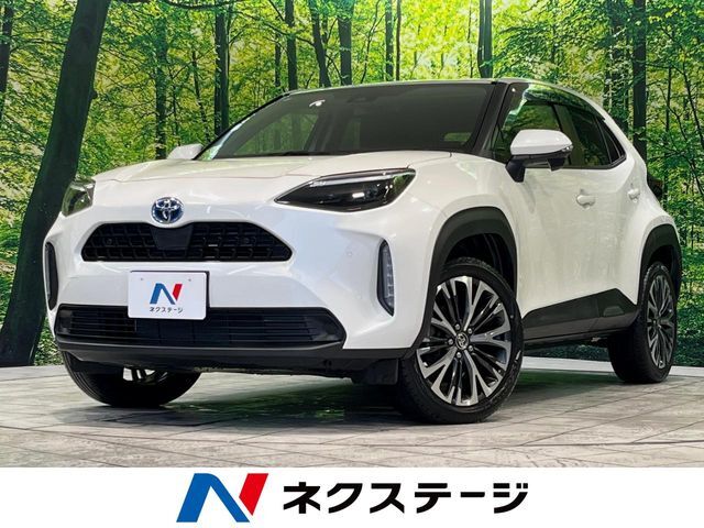 ナビ付ディスプレイオーディオ　バックカメラ　レーダークルーズ　禁煙車