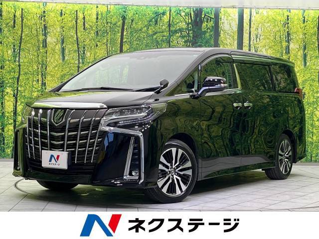 禁煙車　ツインサンルーフ　純正SDナビ　後席モニター　バックカメラ　CD