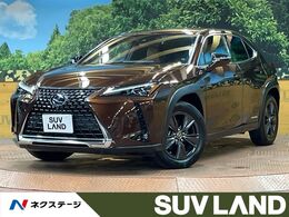 レクサス UX 250h バージョンC 10型ナビ 全周囲カメラ 禁煙 3眼LEDヘッド