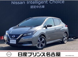 日産 リーフ X Vセレクション プロパイロット　全周囲カメラ　寒冷地