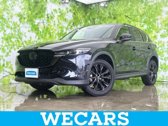 WECARS（ウィーカーズ）は全国250店舗展開！お客様が安心してカーライフをお楽しみいただけるよう社員一同心を込めてサポートいたします。