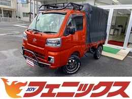 ダイハツ ハイゼットトラック 660 スタンダード 農用スペシャル 3方開 4WD 切換4WD　5MT　リフトアップ　14AW　ウィン