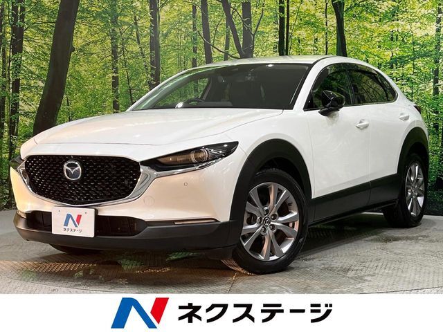 純正8.8型ナビ　全周囲カメラ　スマートブレーキサポート　パワーシート